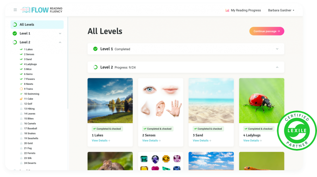 Example of how the levels of the learning curve look like